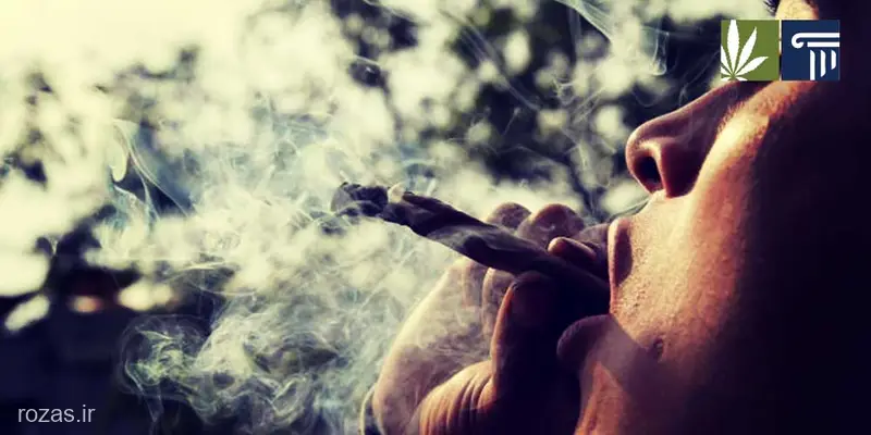 Marijuana consumption -site:pinterest.* -site:youtube.* -site:instagram.* -site:aparat.com